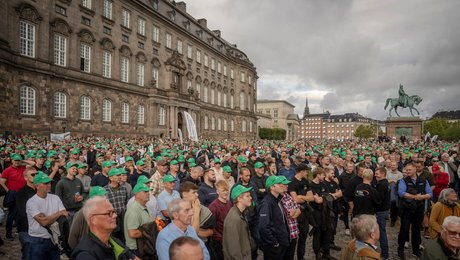 Hjælp til grønsagsavlere er langt fra nok til at formilde landmænd