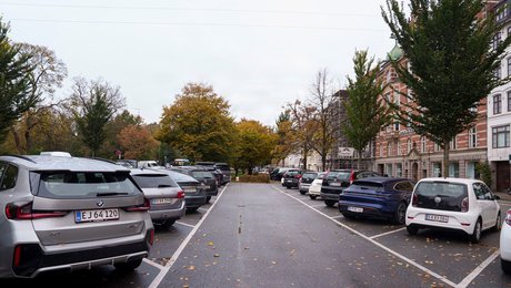 Professor: København har store parkeringsproblemer. Vi bliver nødt til at kigge på prisen på beboerlicenserne
