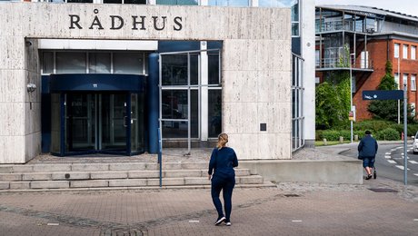 Vive og styrelse: Borgerens problemer hænger sammen. Det gør velfærdsstatens løsninger ikke