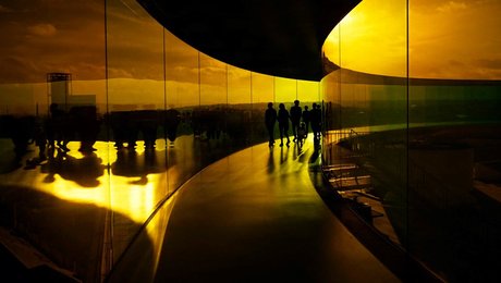 Direktøren for Danske Museer stopper