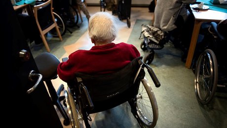Velfærdsvirksomhed ansætter ny faglig direktør