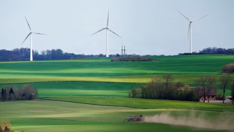 Kampvalg i Landboungdom: Se kandidaterne