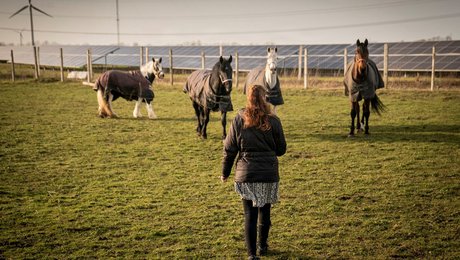 Se kortet: Efter valgkamp om ’jernmarker’ skyder nye solcelleparker op