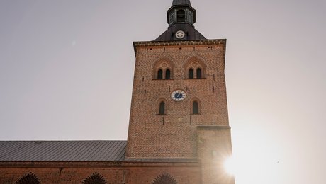 Her er septembers nyudnævnte præster
