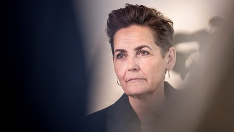 SF-formand har snuppet halvdelen af finansministerens vigtigste velfærdssnedkere