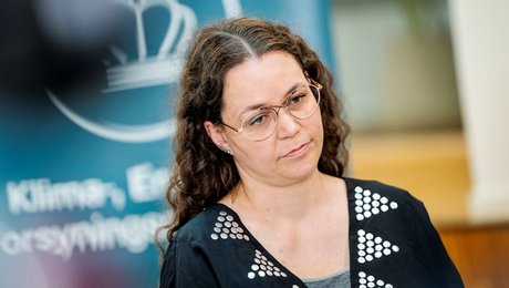 Støttepartier savner svar efter elnet-udspil fra regeringen: Bekymret for natur og retssikkerhed