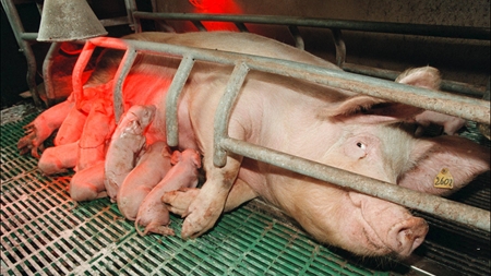 EL: Miljøcentres kontrol bør undersøges 