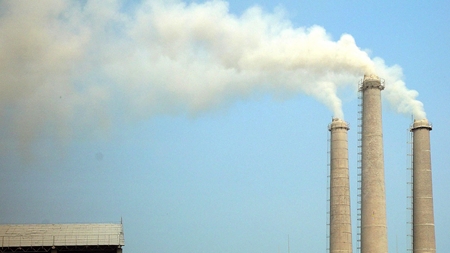 Flertal for klimamærkning af fødevarer