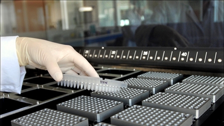 Ingen penge til stamcelleforskning 