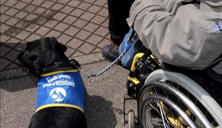 VISO-initiativer er et skridt i den rigtige retning