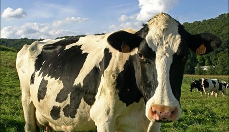 Landbruget: CO2-reduktioner fra halm tilhører os 