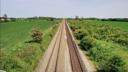 Firben skal flyttes for ny jernbane