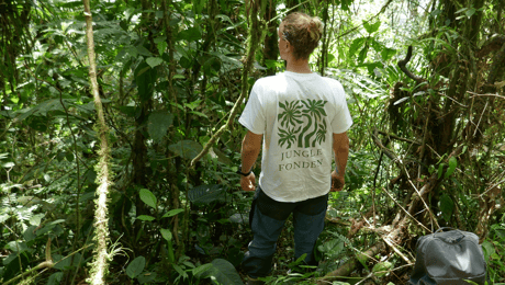 Ny dansk fond vil opkøbe jord i Amazonas og sælge det som økoturisme