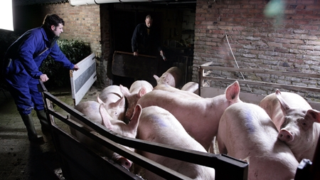 Dan J. vil ikke betale for kortlægning af MRSA