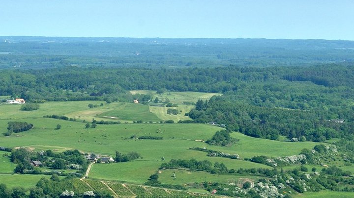 Professor: Grøn omstilling skal tages mere alvorligt