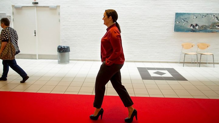 Enkeltsager og solidaritet i SF's vej ud af mørket