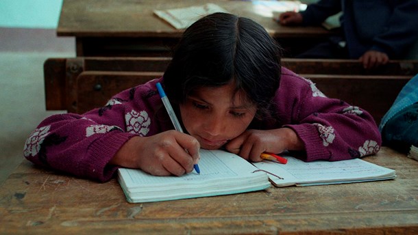 Professor: Regeringen har genindført bunden bistand