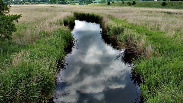 SF: Ny vandløbslov kan sende ekstraregning til skatteyderne