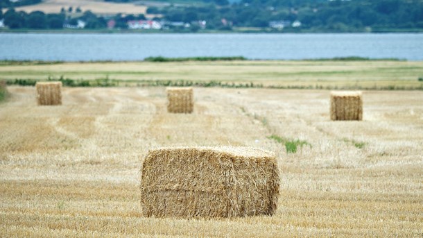 Cepos: Landbrugets tørkekrise skal ikke betales af skatteyderne