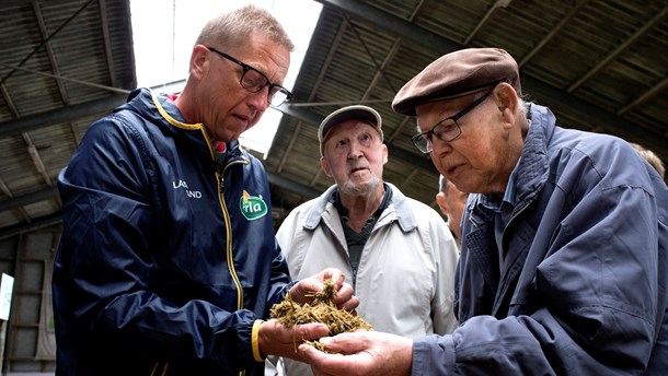 Ny venstremand i Europa-Parlamentet: ”Landmændene er mere miljøbevidste, end fordommene tilskriver” 