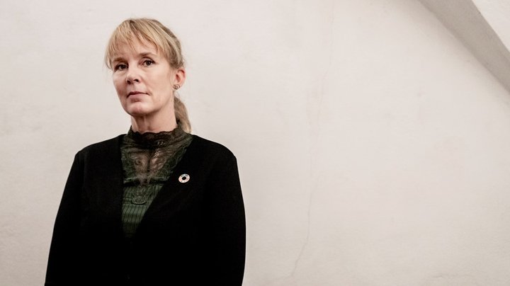 Radikale før Eldrup-anbefalinger: "Vi skal passe på, at vi ikke går i vejen for markedet"