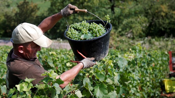 Minister støtter sociale krav til landbruget