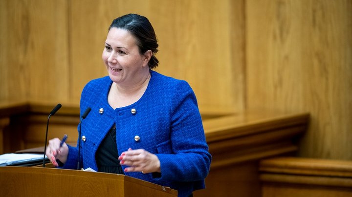 Delfiner, fængsler, grøn omstilling og meget andet på tapetet i åbningsdebat