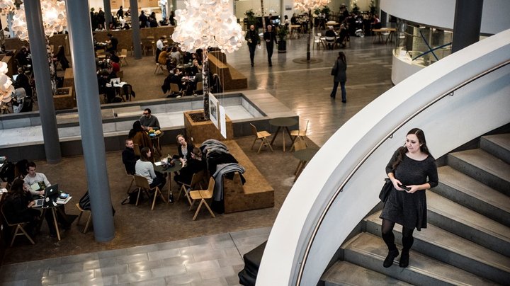 AE til Akademikerne: Vi er nødt til at overveje, om vi uddanner for mange akademikere