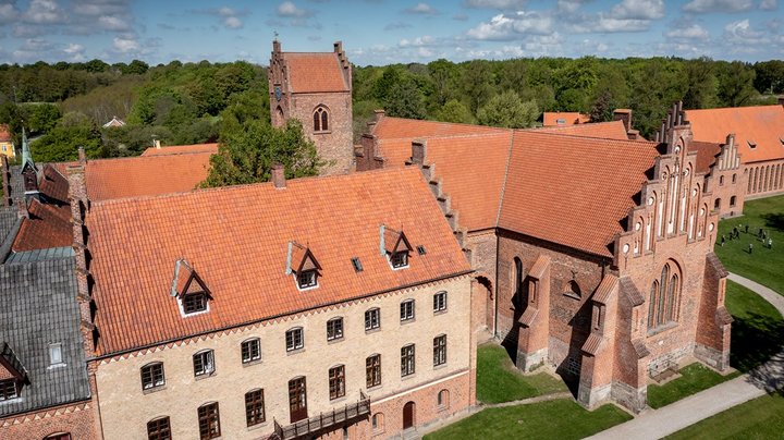 Ekspert i unges trivsel forlader Herlufsholms bestyrelse