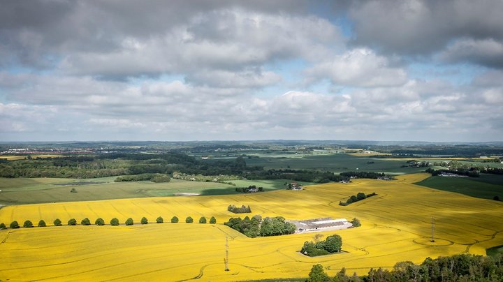 Se kortet: Sådan bruges Danmarks areal