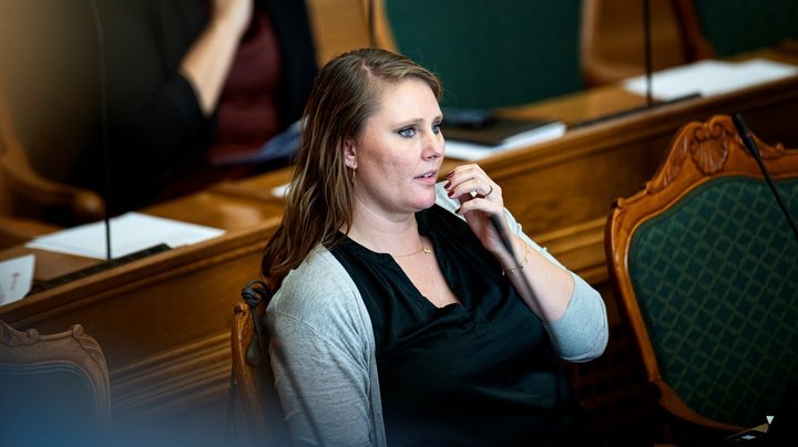 SF-ordfører: Kunst og kultur i folkeskolen skal gøre op med rigide begreber om dannelse