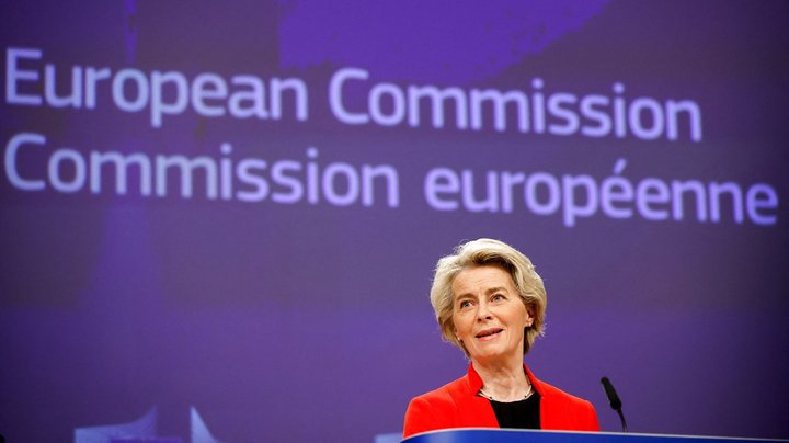 Dyrevelfærd, antiabort og pesticider: Her er EU's borgerinitiativer, som er sluppet gennem nåleøjet