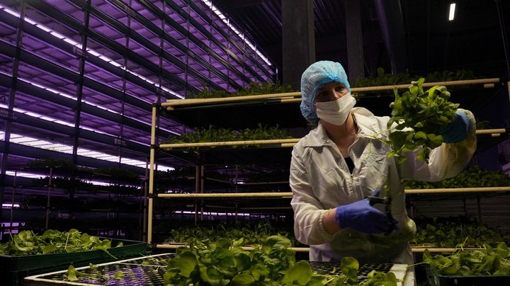 Hvis Danmark skal beholde førerskab på fødevarer, kræver det massive investeringer