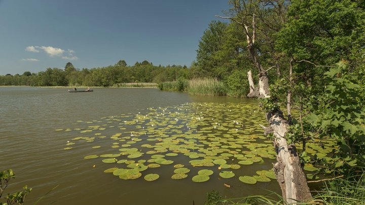 Flere kommuner når ikke det naturmål, som de blev stillet for ti år siden: "Der er ingen undskyldninger"
