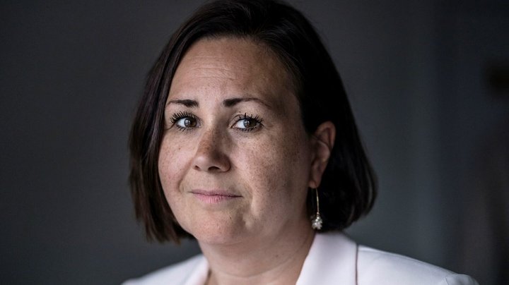 Grønlandsudvalget får ny formand