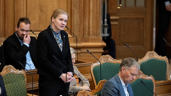 DD: Vi gambler med de frivillige, hvis der skal føres tilsyn med ngo'ers sociale indsatser