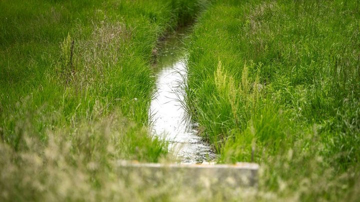 PFAS-niveau i drikkevandsboringer slår rekord i 2024
