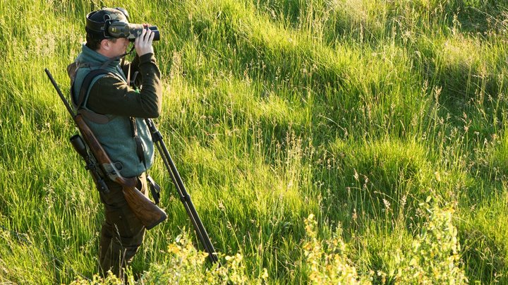 DN: Jagt i strengt beskyttet natur skal ikke være muligt