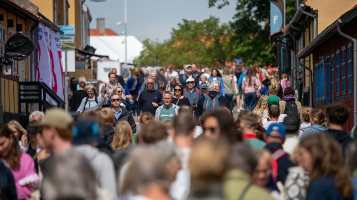 Folkemødet har ikke fået nye vedtægter: ”Efter tre kvarter blev vi enige om, at vi ikke skulle stemme”