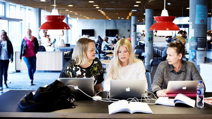 Navneskifte på civilsamfundsuddannelse giver håb om flere ansøgere: “Det er stadig fugle på taget”