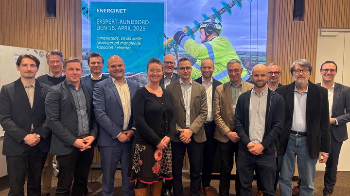 Eksperter har givet gode råd til Energinet: Sådan foreslår de at løse problemerne med elnettet