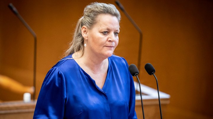 Ny DD-ordfører vil kulegrave anbringelser og bortadoptioner efter ”kradsbørstig” rapport