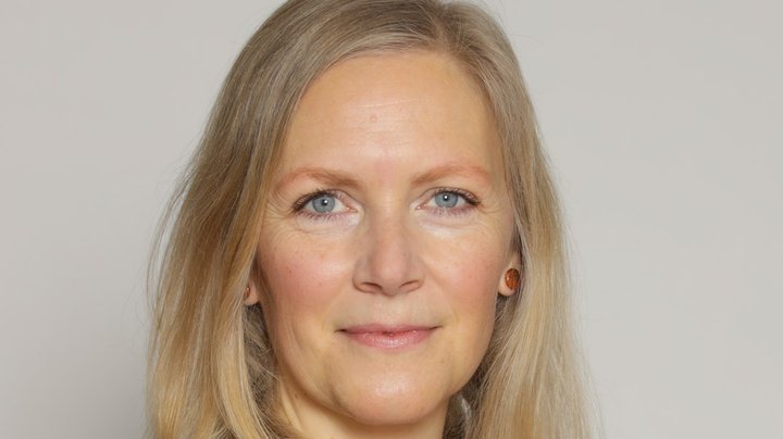 “Alt er manuelt”: Forsker har fulgt ansatte i to af landets mest digitaliserede styrelser