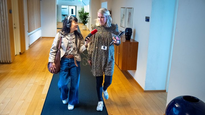 I praktik som frivilligkonsulent: Nogle dage er man som en ninja, andre dage som tyggegummi under skoen