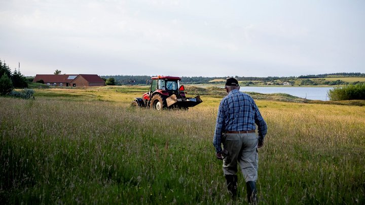 Familielandbrug slår alarm over udviklingen i landbruget: ”Det er en landbokultur, der forsvinder”