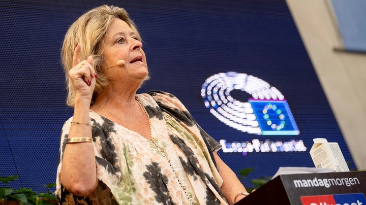 Stine Bosse langede ud efter kolleger for at forlade møde i et udvalg, de end ikke er medlem af