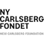 Direktør til Ny Carlsbergfondet