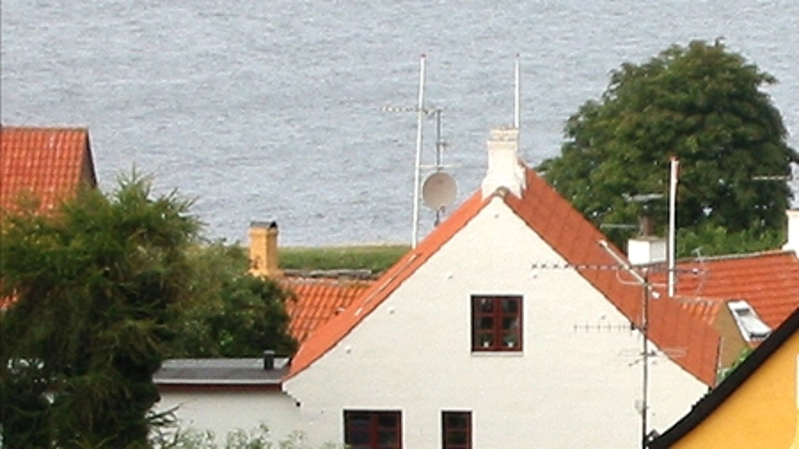 Antallet af hel&#229;rsbeboede sommerhuse er steget siden 2002. Det bekymrer Danmarks Naturfredningsforening.