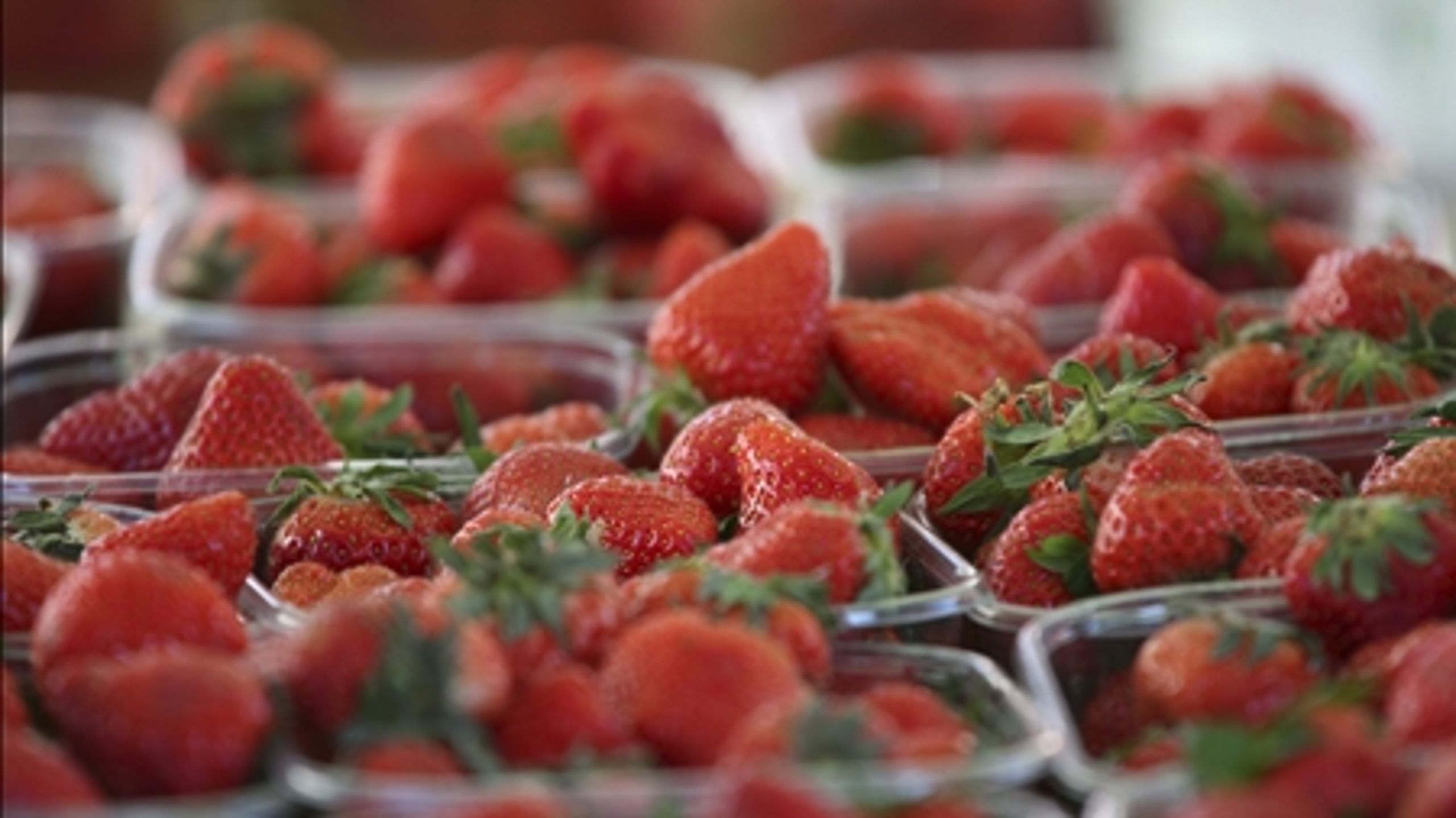 EU vil blandt andet hæve grænseværdien for pesticidrester i jordbær. Fødevareministeren understreger, at grænseværdien er under det sundhedskadelige niveau.  