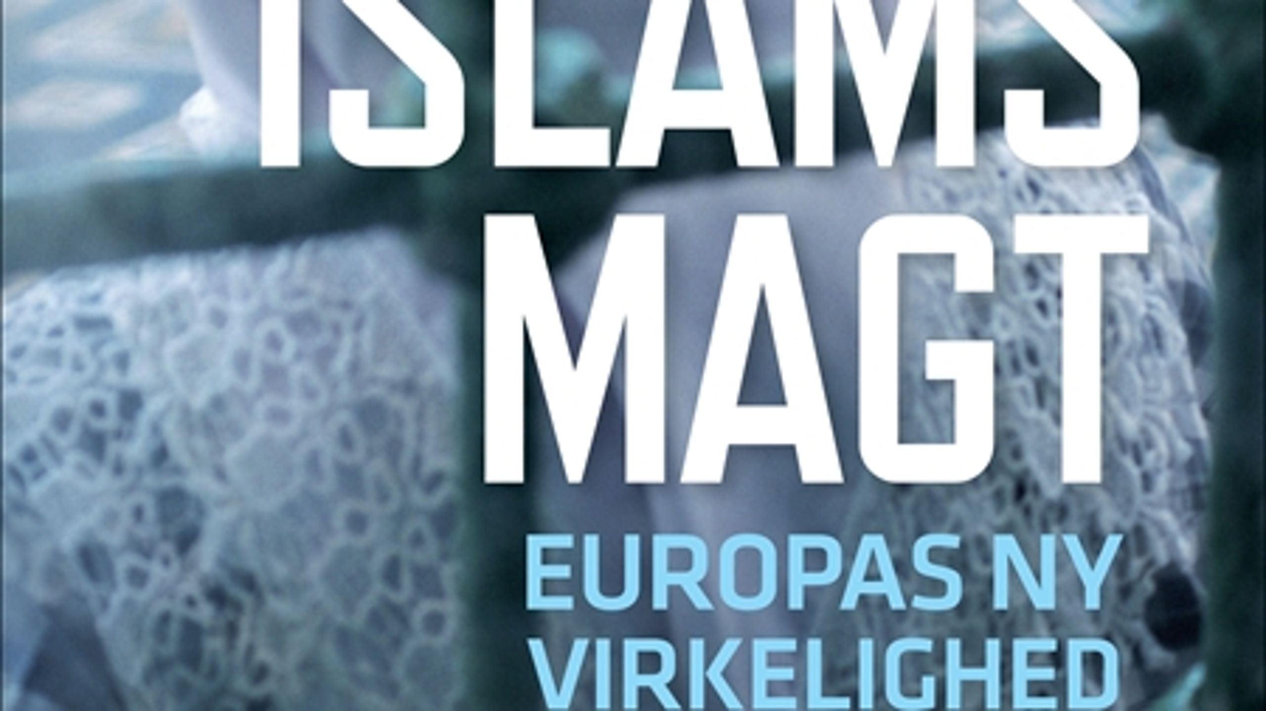 Trods titlen "Islams magt" handler den nye bog fra Karen Jespersen og Ralf Pittelkow mest om det atomiserede multikulturelle samfund og truslerne mod den verdslige demokratiske stat.
